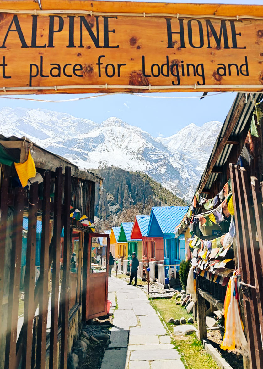 Sady jabłkowe z widokiem na Manaslu