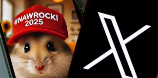 Wybory w Polsce Chomik i telefon