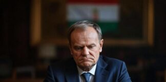 Tusk obraził się na Węgrów! Kto będzie rozdawał csabai kolbasz?