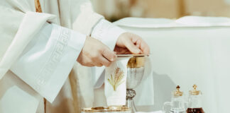 Ogrodnik opuszcza winnicę – apel księdza o konsekwencję w apostazji