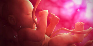 Dzień Świętości Życia: Duchowa Adopcja – szeptem ocalone serce Duchowa adopcja