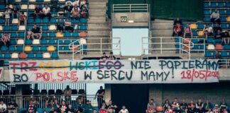 Wartość (cena) polityka. Uroczy, głupi i niebezpieczny* Wartość polityka, cena