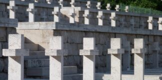 Czerwone maki na Monte Cassino… Monte Cassino