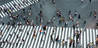 Polaryzacja i amorfia – złudzenia wyborczej gry* Polaryzacja, amorfia