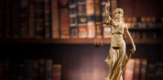 Zatrzymanie obywatelskie. Polacy mają prawo* Zatrzymanie obywatelskie. Polacy mają prawo, Kodeks karny w art. 243