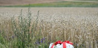 Czego boją się Ukraińcy? Dlaczego blokują ekshumacje ofiar UPA?* Dlaczego Ukraina blokuje ekshumacje ofiar UPA?