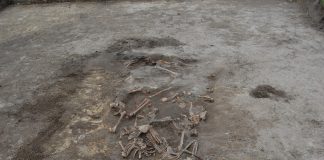 Ekshumacje żołnierzy UPA w Polsce? Masowa mogiła ofiar UPA odkryta w Woli Ostrowieckiej