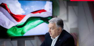 Nawrocki i Orbán przy jednym stole: nowy rozdział w relacjach Spotkanie na szczycie: Nawrocki rozmawia z Orbánem