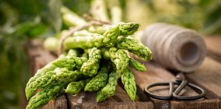 Co ma robić były prezydent Andrzej Duda? A może na szparagi! Duda w biznesie, Agata w NBP? Internet znów się gotuje