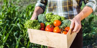 Uciekać z domu wariatów! Samozbiory opodatkowane Samozbiory z VAT? Fiskus chce podatku od darów rolników