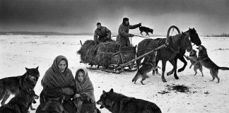 86-ta rocznica deportacji Polaków na Syberię – wspomnienie 10 lutego: Tragiczne deportacje Polaków na Syberię