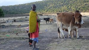 Ile kosztuje dach nad dzieciństwem? Wielkopostna misja, by zbudować przedszkole w Tanzanii. 2 WhatsApp Image 2026 01 27 at 15.26.30