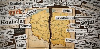 Cyrk w sądach, tresura w mediach. Jak neosędziowie i politycy budują państwo z kartonu. Cyrk w wymiarze sprawiedliwości. Czy neosędziowie przymykają oczy na prawo?